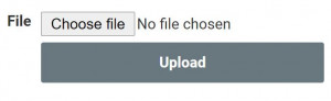 A screenshot of how the file upload field looks before selecting a file.