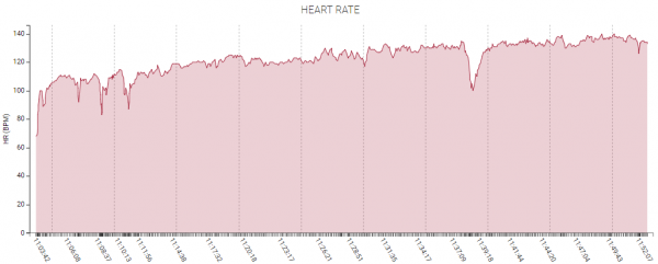 An example screenshot showing heart rate recorded across a trainin session.