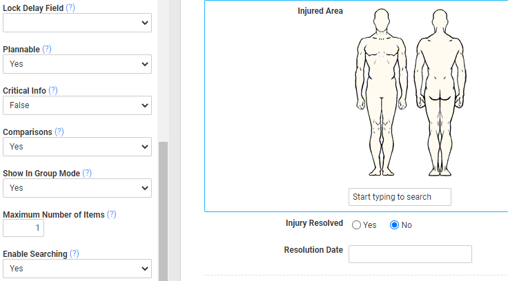 A screenshot of a body diagram field and its advanced properties