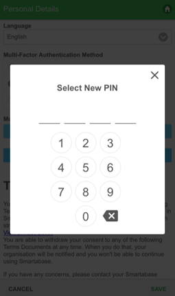 A screenshot of how to set a new PIN in the legacy mobile app.