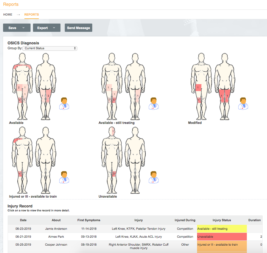A screenshot showing how injuries can be grouped and visualized in the Reports tool.